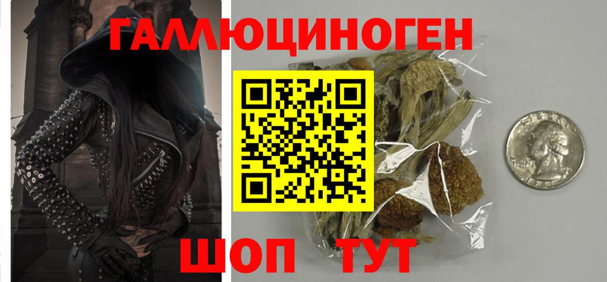 Псилоцибиновые грибы Psilocybine cubensis Петропавловск-Камчатский