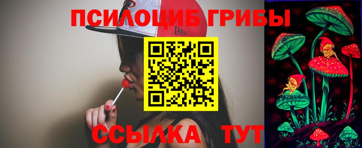 Петропавловск-Камчатский  Псилоцибиновые грибы GOLDEN TEACHER  Галлюциногенные грибы GOLDEN TEACHER  как найти   Вход с VPN 